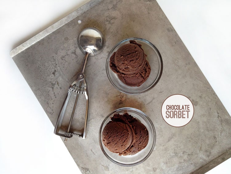 chocolate sorbet freutcake Guest Post: Chocolate Sorbet
