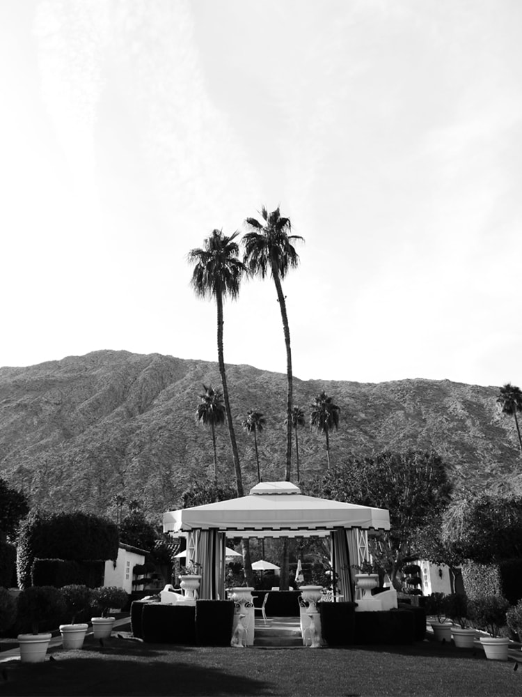 ps 4 Palm Springs Weekend