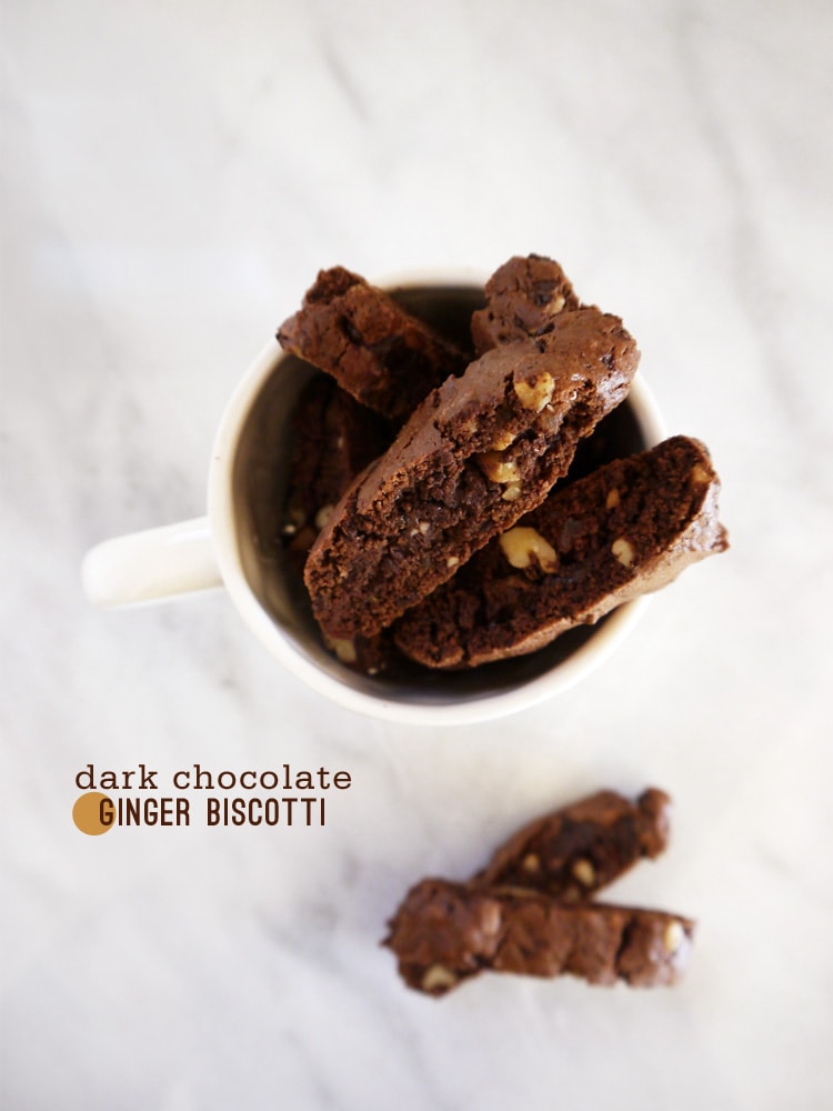 Double Dark Chocolate Ginger Biscotti by Freutcake Double Dark Chocolate and Ginger Biscotti 