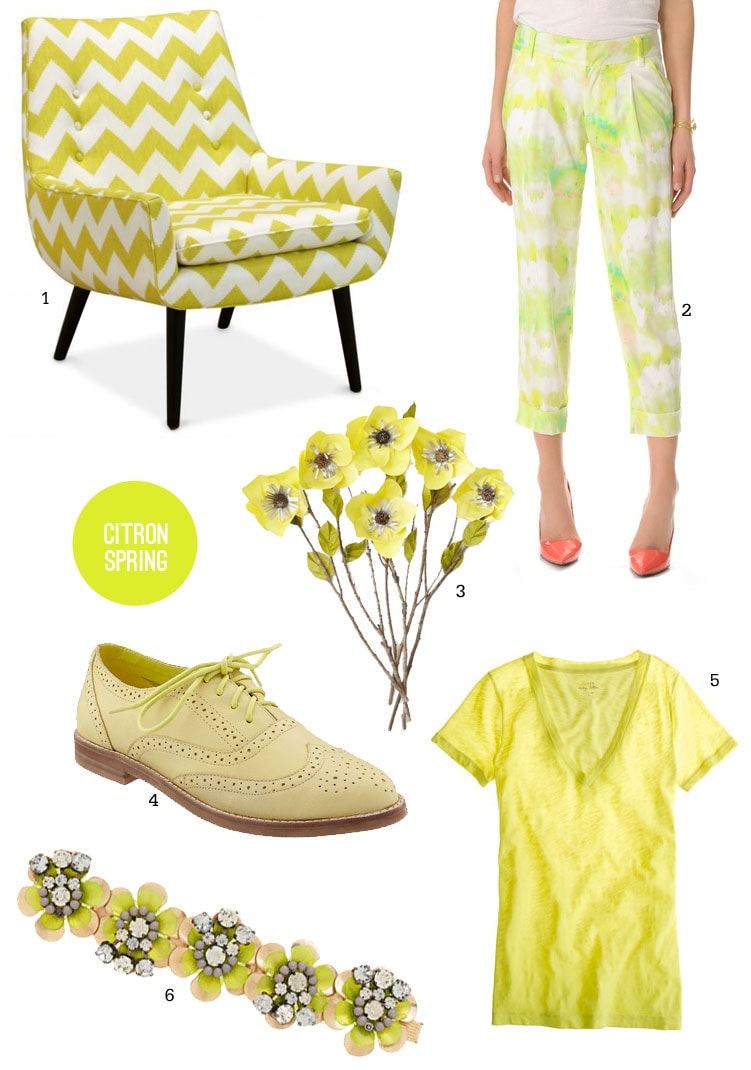 Citron Spring Citron for Spring