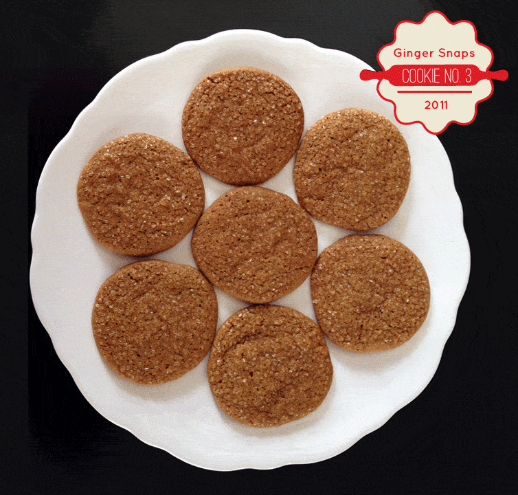 Cookie No. 3 Ginger Snaps freutcake