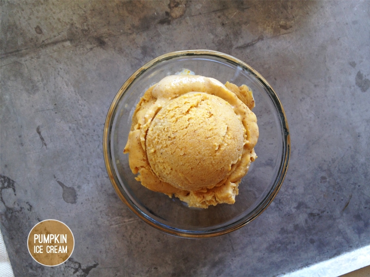 Pumpkin Dark Chocolate Chip Ice Cream