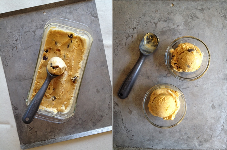 pumpkin dark chocolate chip ice cream 2