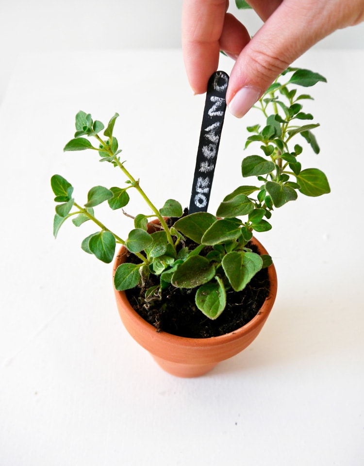 DIY-Chalkboard-Herb-Markers-5