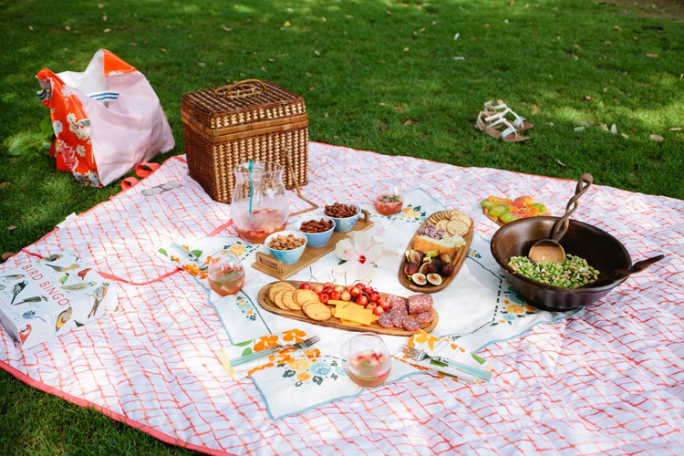 Freutcake-Picnic-Party-2