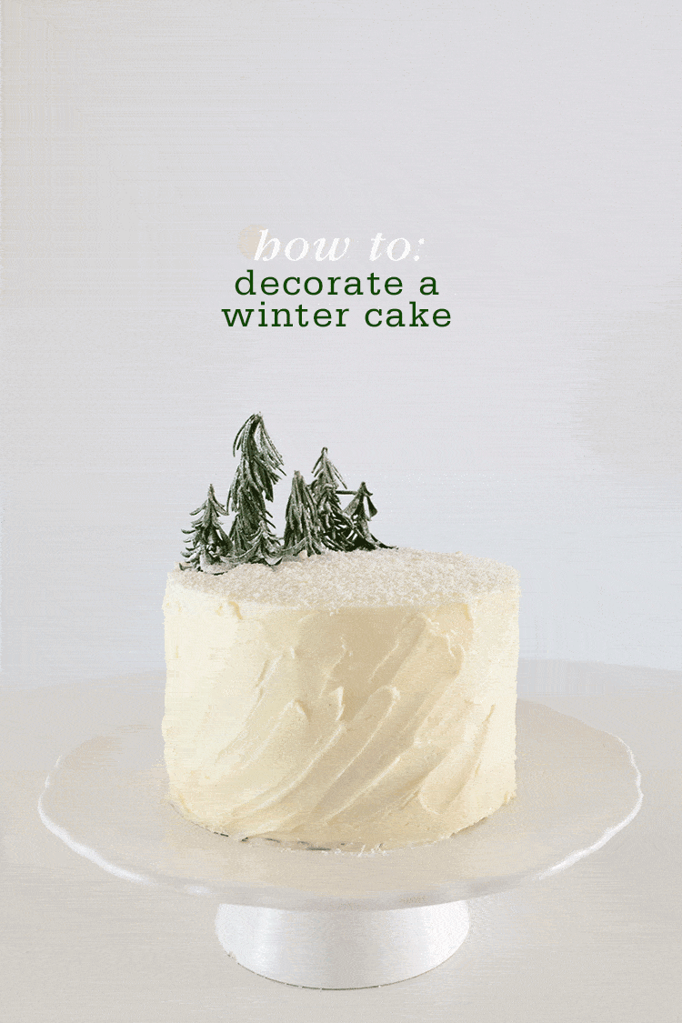 How-to-Decorate-a-Winter-Cake