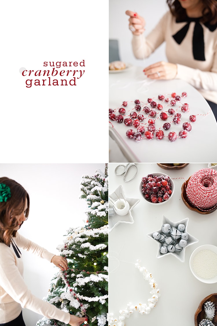 Sugared-Cranberry-Garland