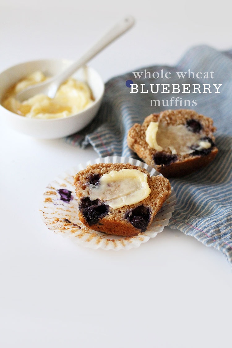 Whole Wheat Blueberry Muffins