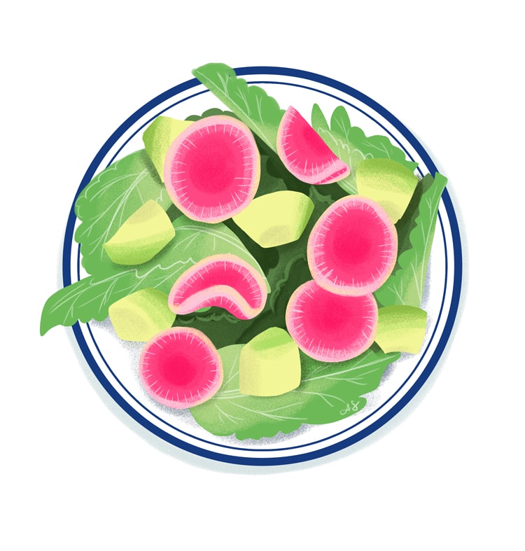 Watermelon-Radish-Salad