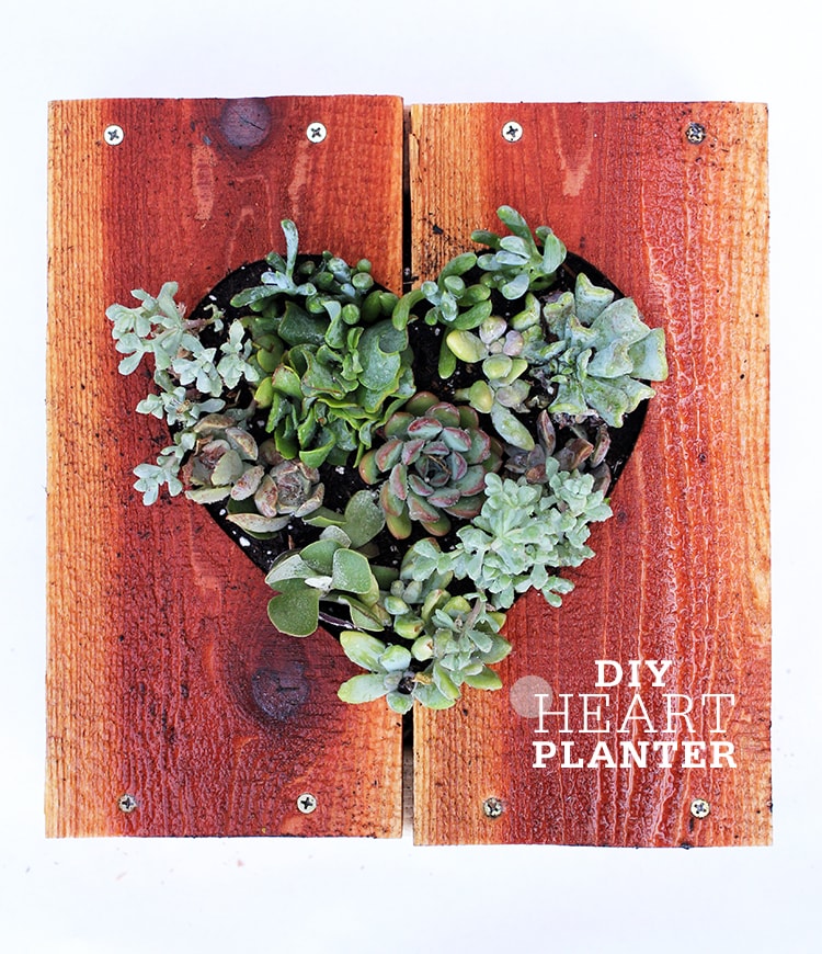 diy heart shaped planter