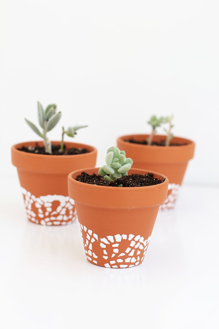 Painted Doily Flower Pots