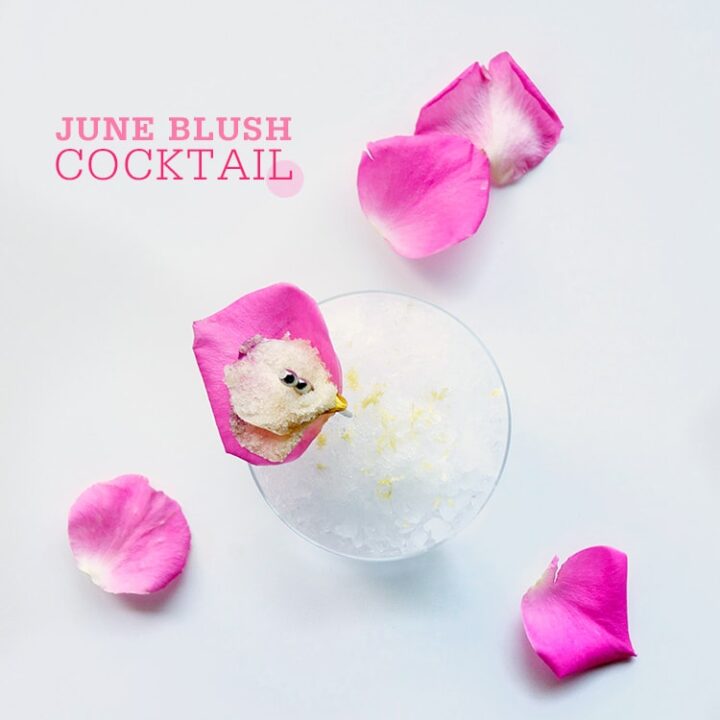 June Blush Cocktail