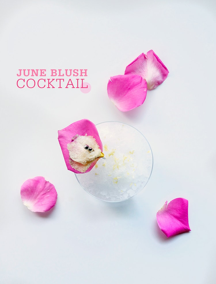 June Blush Cocktail