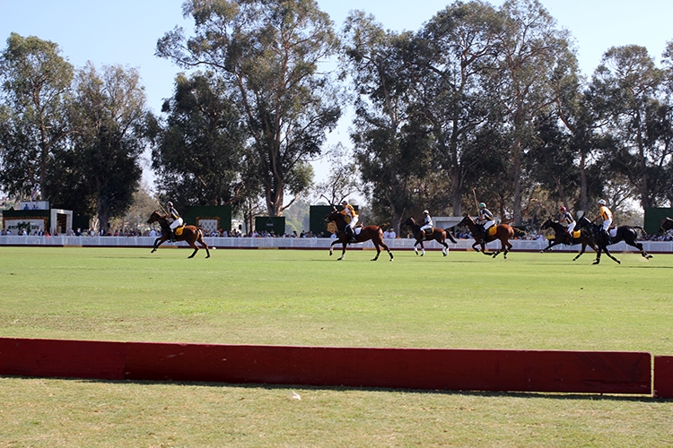 Veuve Clicquot Polo Classic