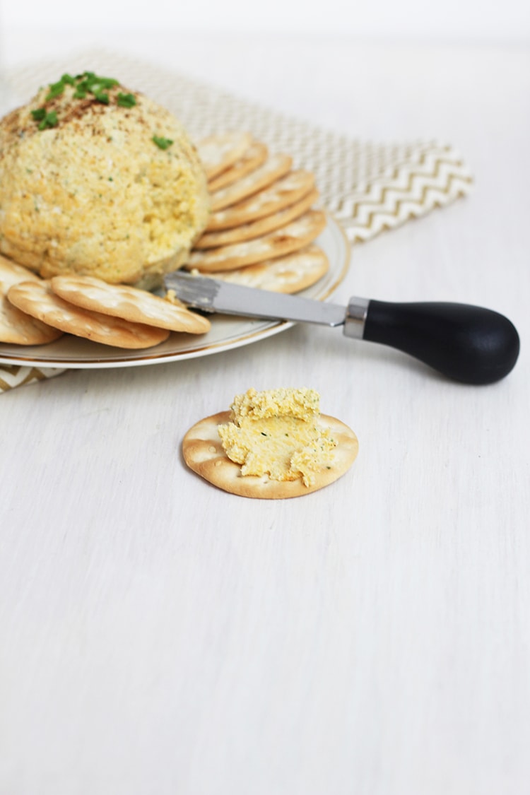 Cheery Cheddar Garlic Cheese Ball 