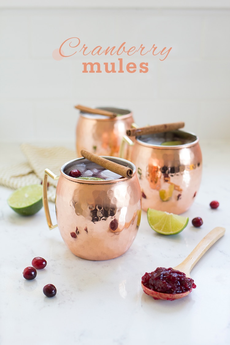 Cranberry Mule