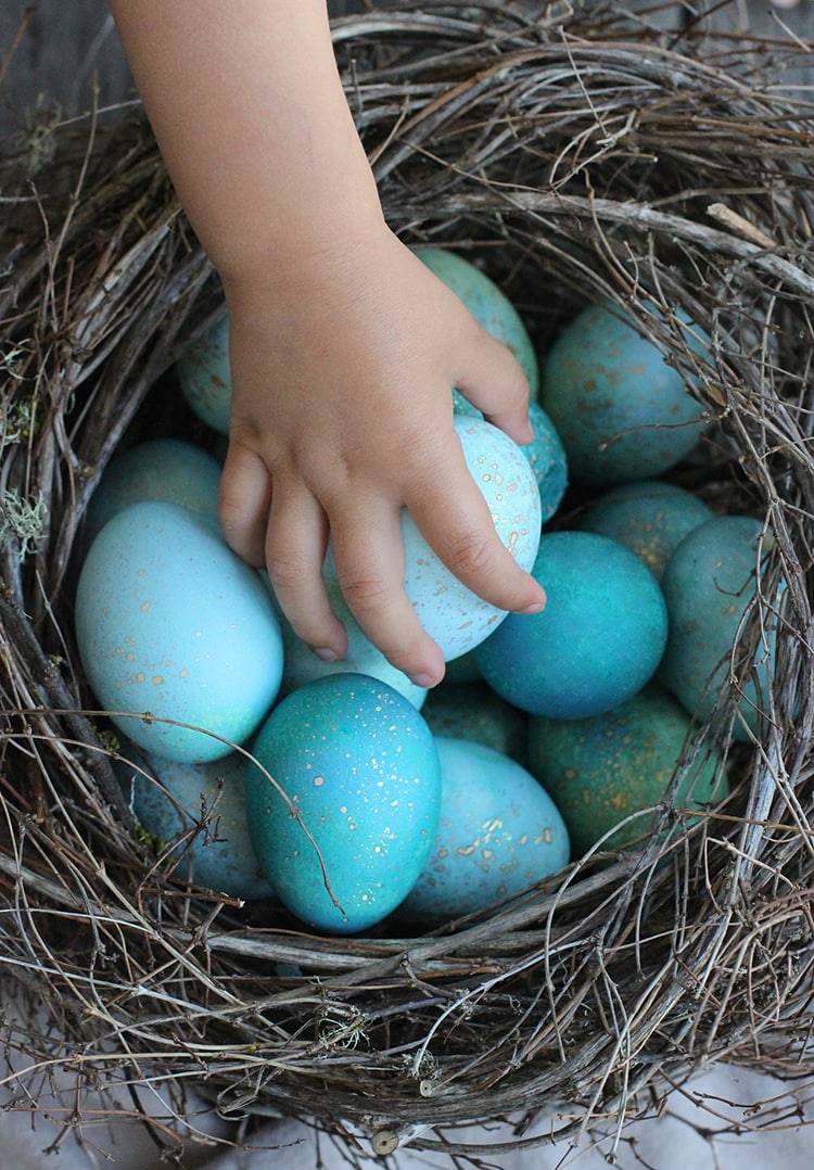 Robins Egg Easter Eggs