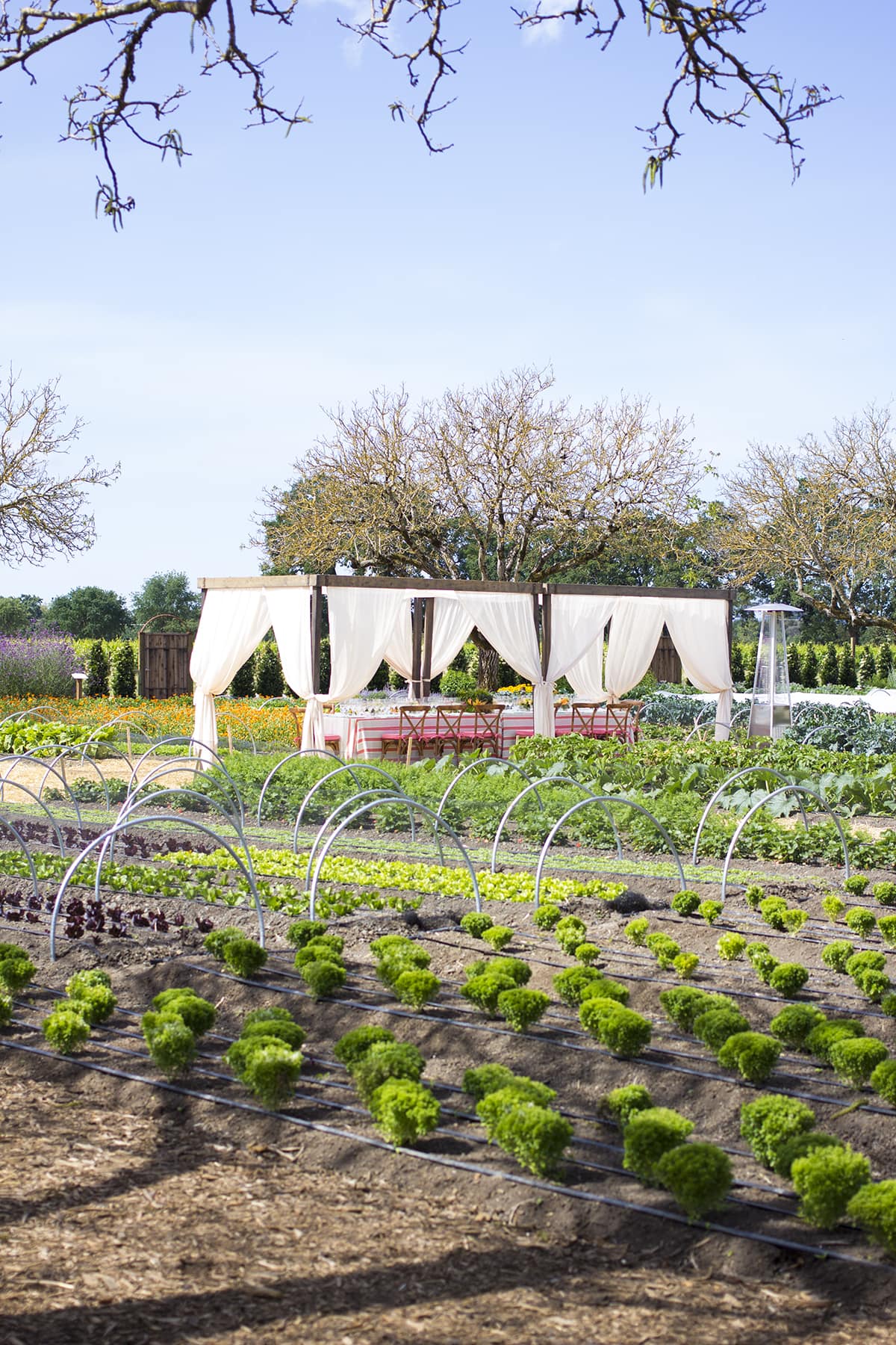 Kendall Jackson Garden Lunch Wine Pairing