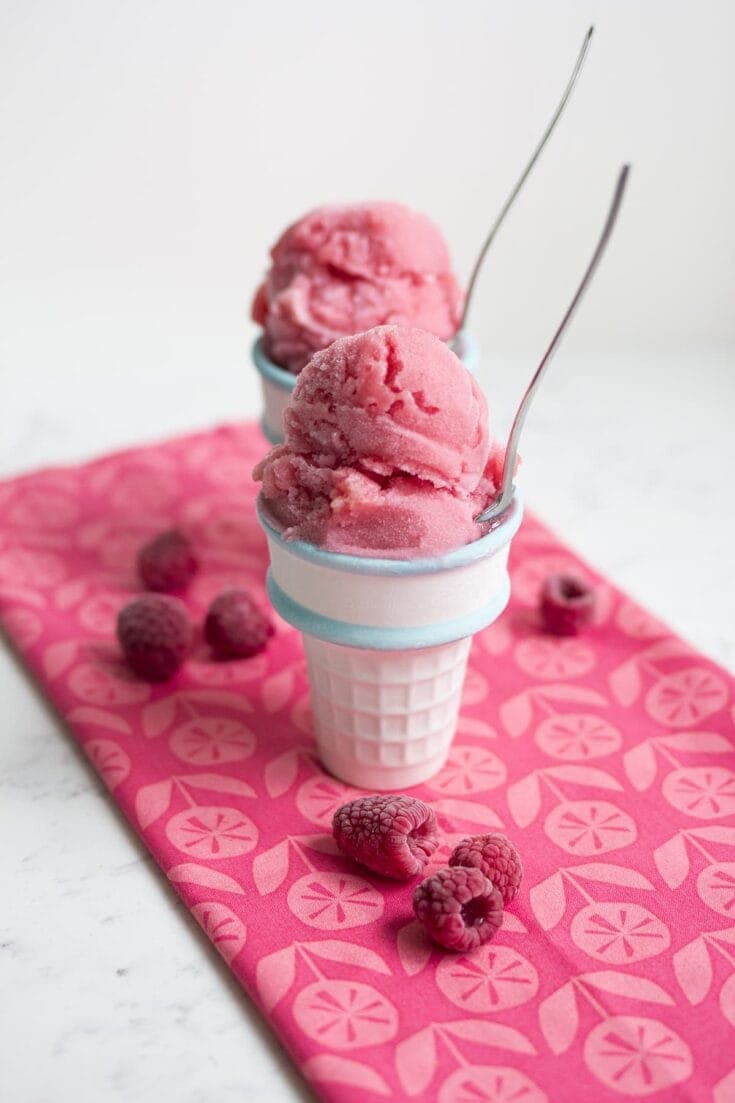 Raspberry Rose Sorbet • Freutcake