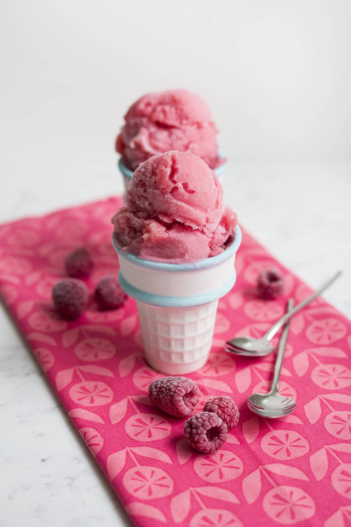 Raspberry Rose Sorbet Recipe