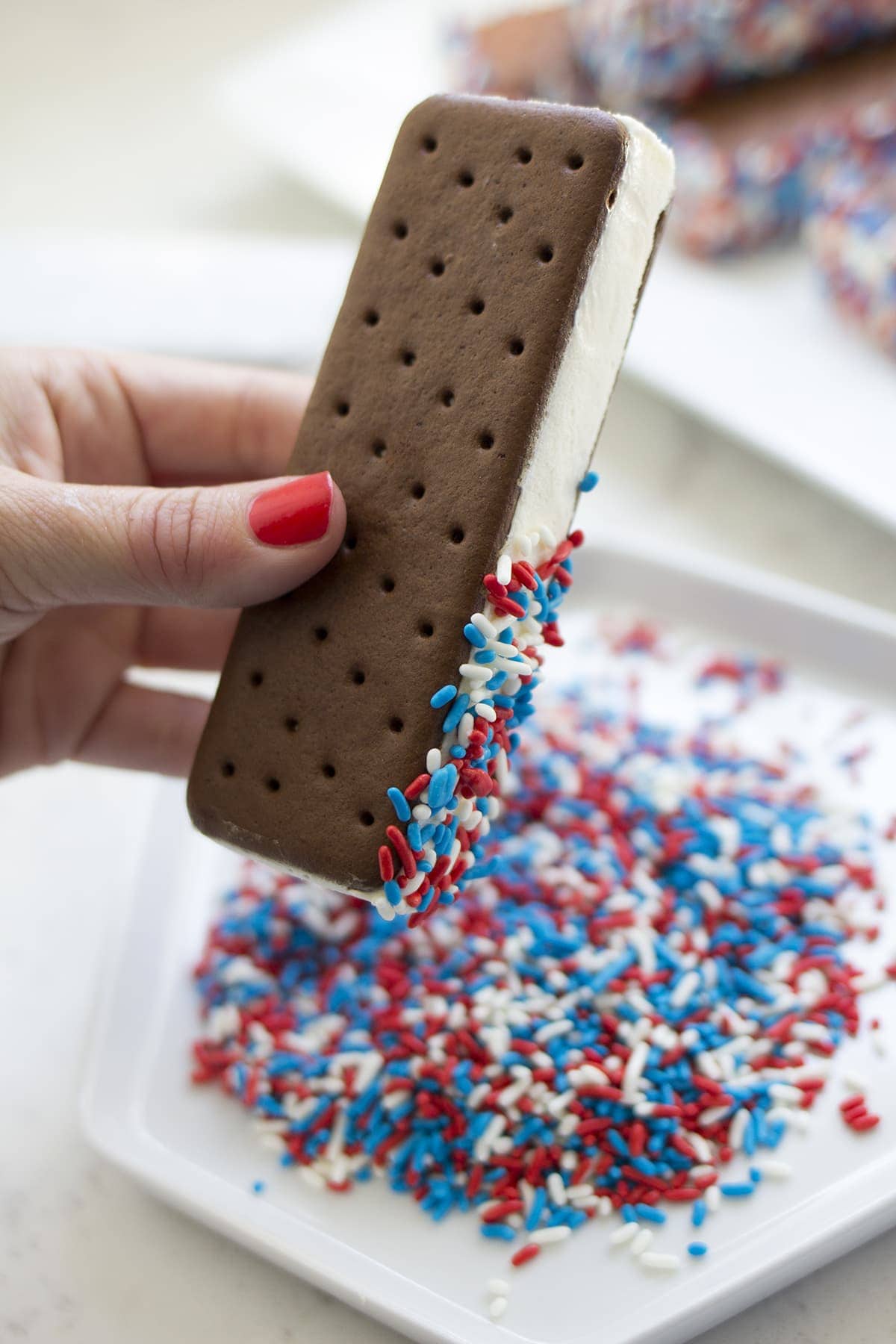 4th of July Ice Cream Sandwiches