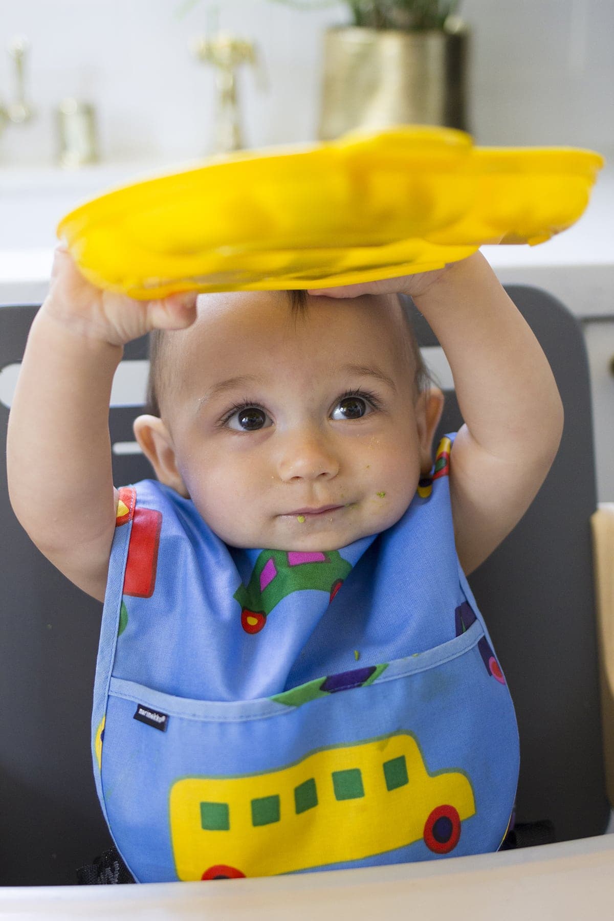 Lunch Ideas for Babies