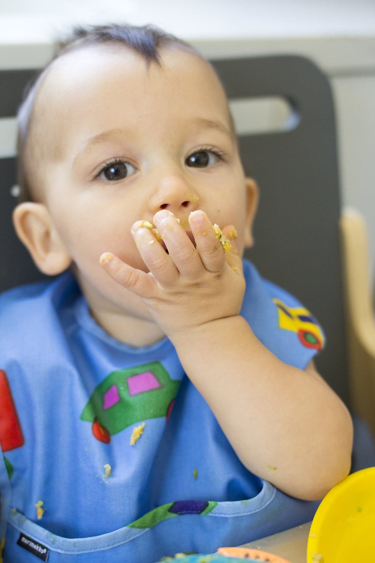 Lunch Ideas for Babies Chicken Stew