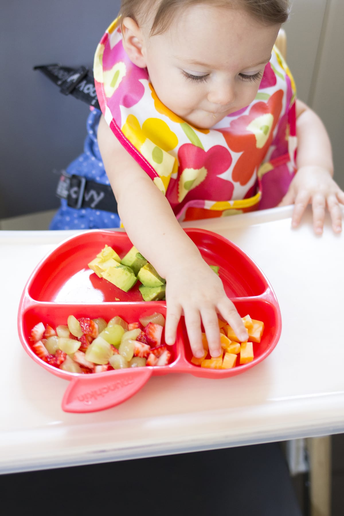 Lunch Ideas for Babies Finger Foods