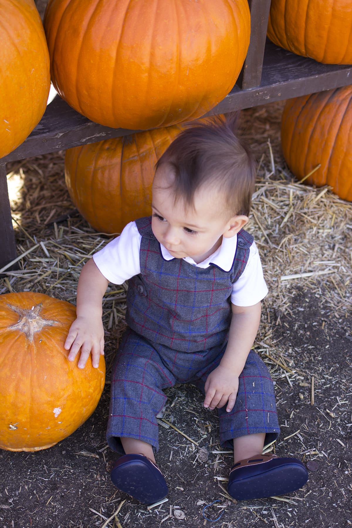 pumpkin patch family holiday traditions