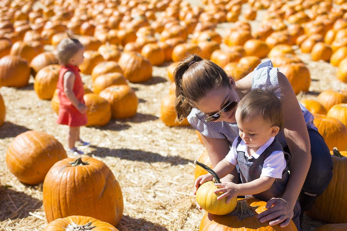 pumpkin patch family holiday traditions