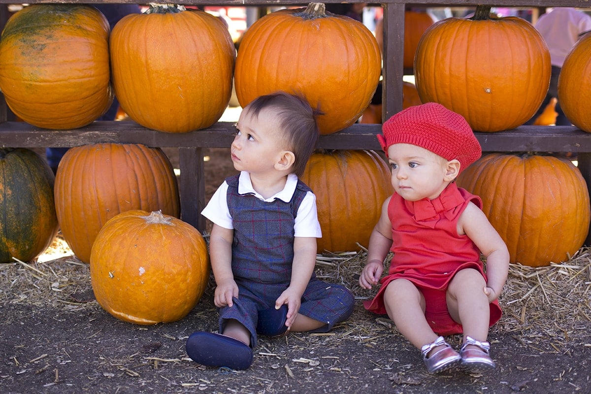 pumpkin patch family holiday traditions