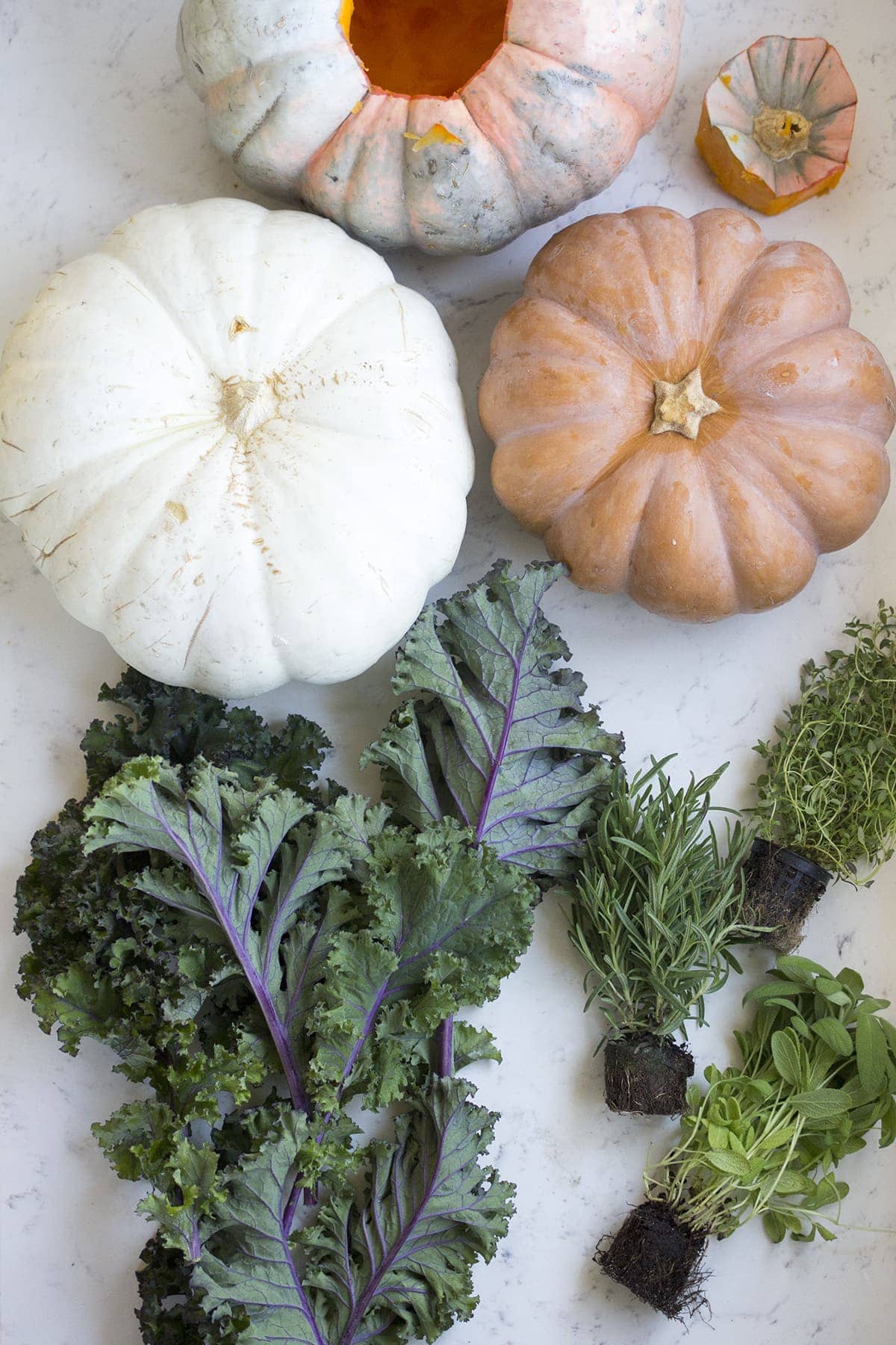 Easy Edible Thanksgiving Centerpieces