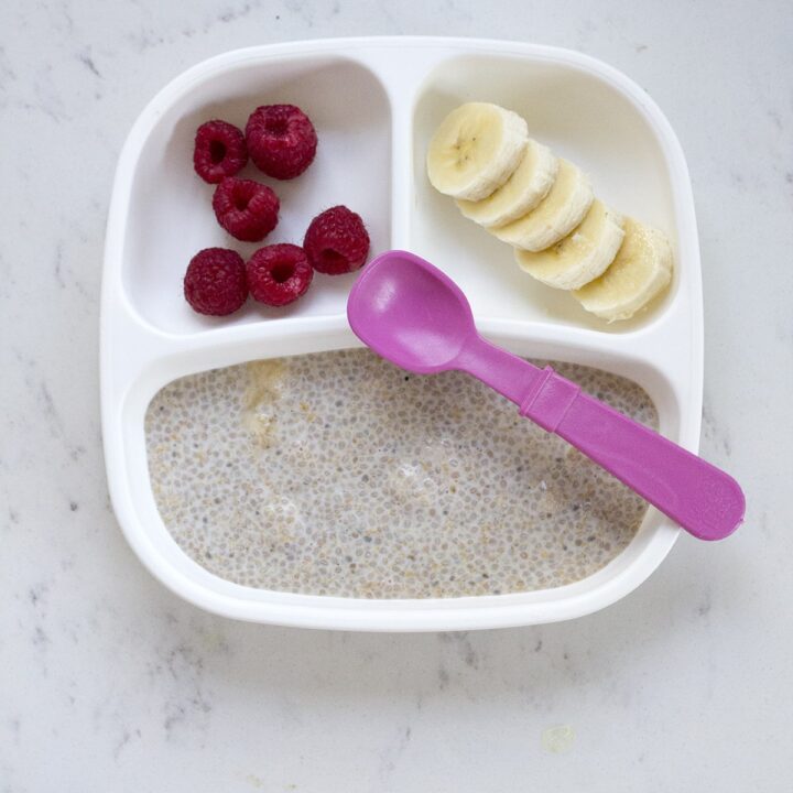 Toddler Meals What I fed the twins
