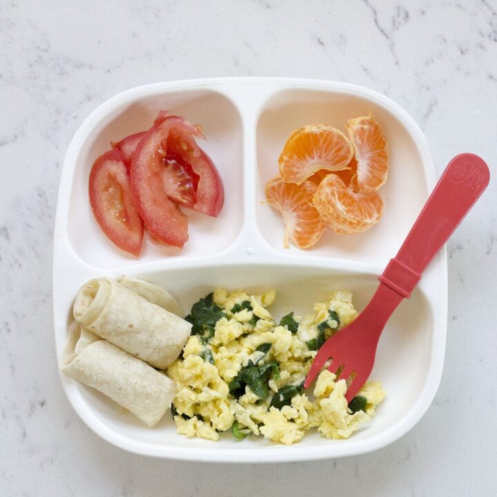What I Fed the Twins this Week