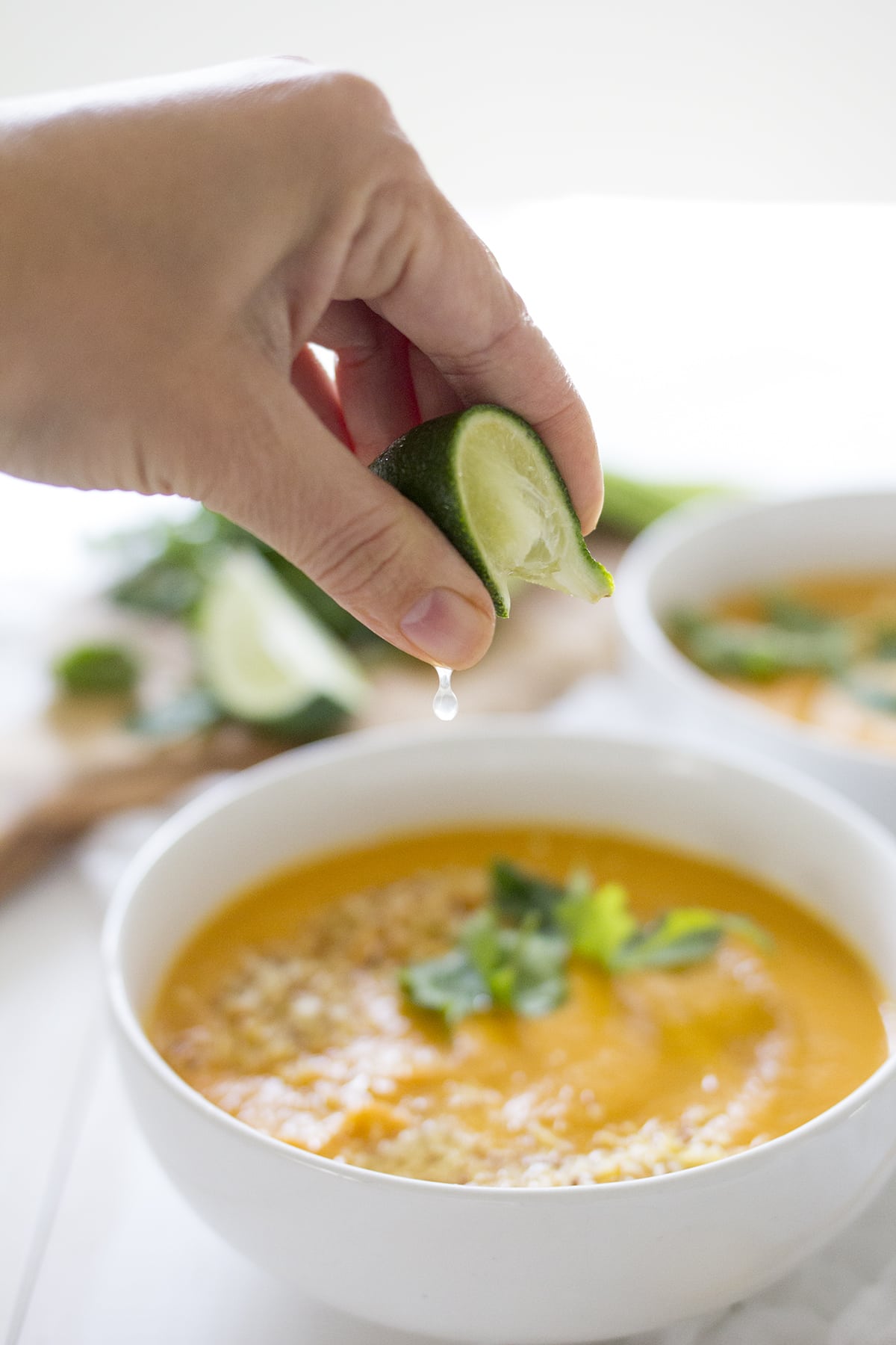 Curried Coconut Carrot Soup