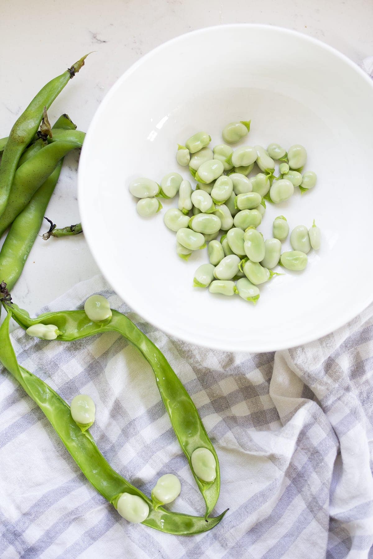 Lemony Pasta with Fava Beans and Peas