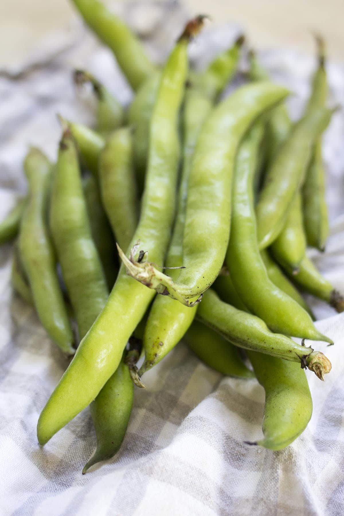 Lemony Pasta with Fava Beans and Peas