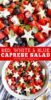 Blueberry Tomato Caprese Salad