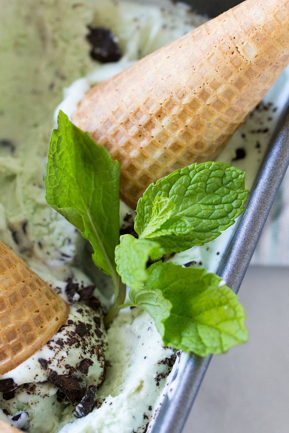 No Churn Real Mint Chocolate Chip Ice Cream made with fresh mint and real cream