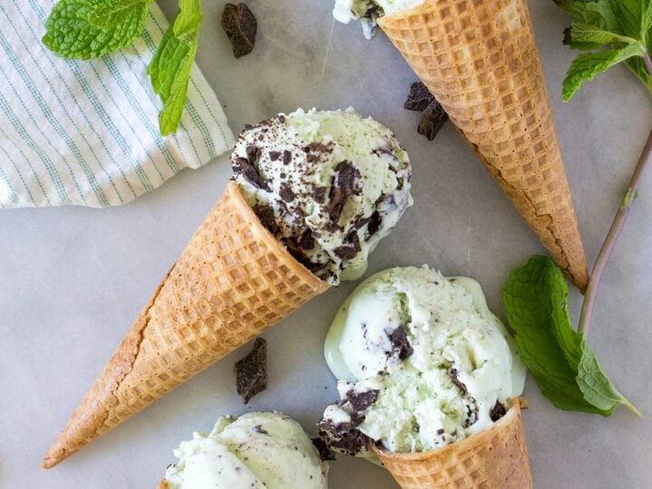 Image result for mint chocolate chip ice cream