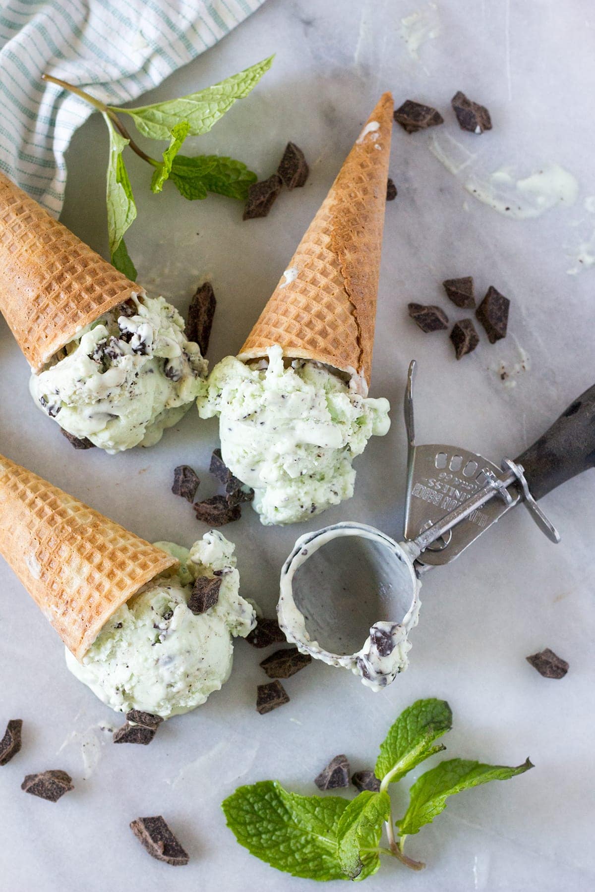 Fresh mint ice cream recipe without ice cream maker deals