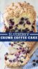 Blueberry Crumb Coffee Cake