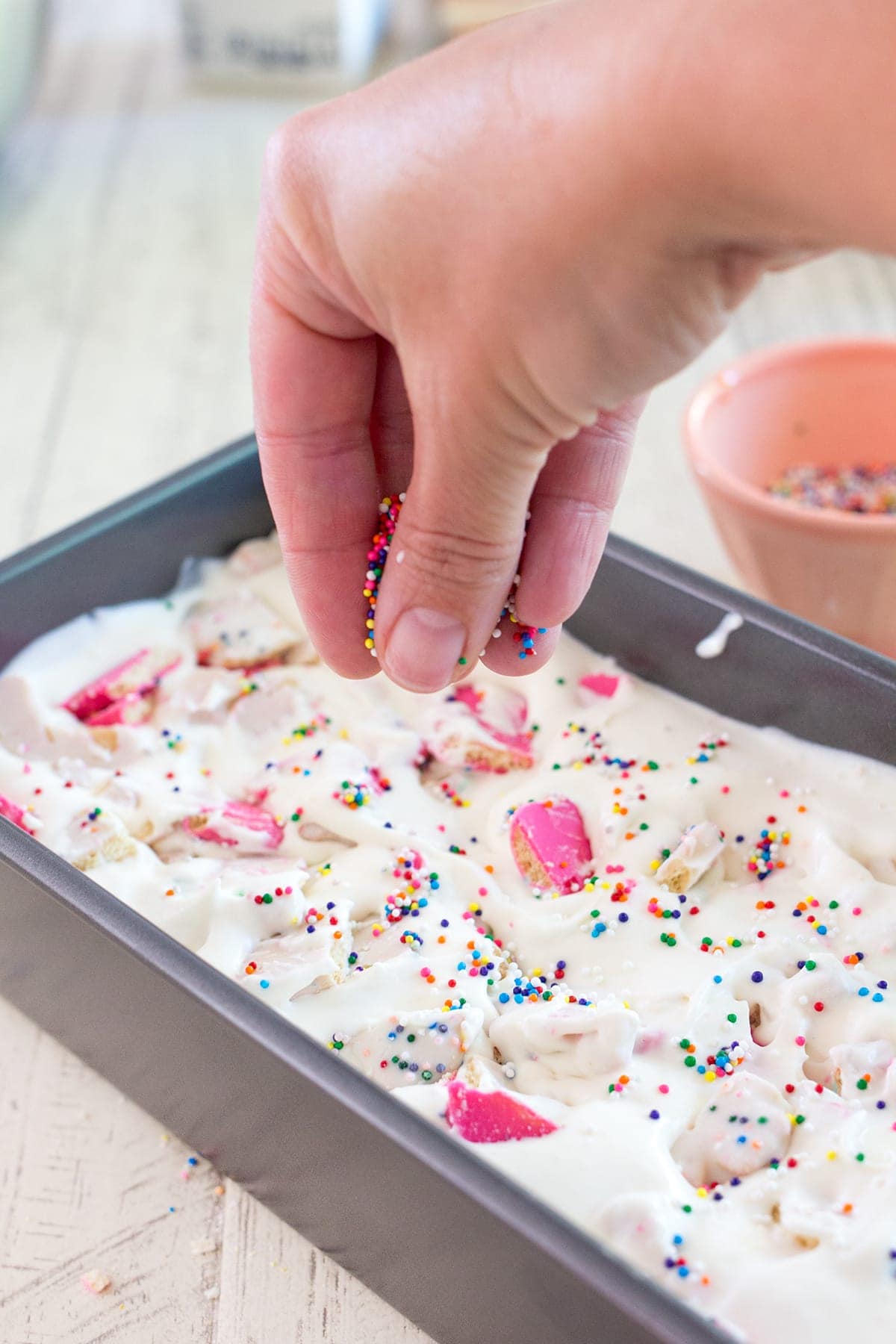 Circus Animal Cookie Ice Cream