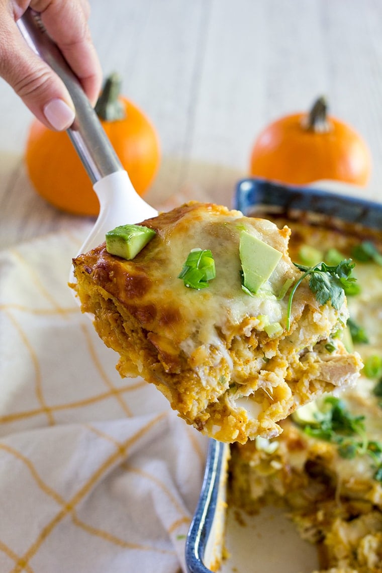 Pumpkin Chicken Enchiladas with a Pumpkin Enchilada Sauce make an easy and delicious family weeknight or weekend dinner perfect for fall. #enchiladas #pumpkin #chickenenchiladas #pumpkinenchiladas #enchiladasauce #glutenfree #glutenfreeenchiladas #pumpkinspice #dinner #weeknightdinner #easydinner #rotisseriechicken