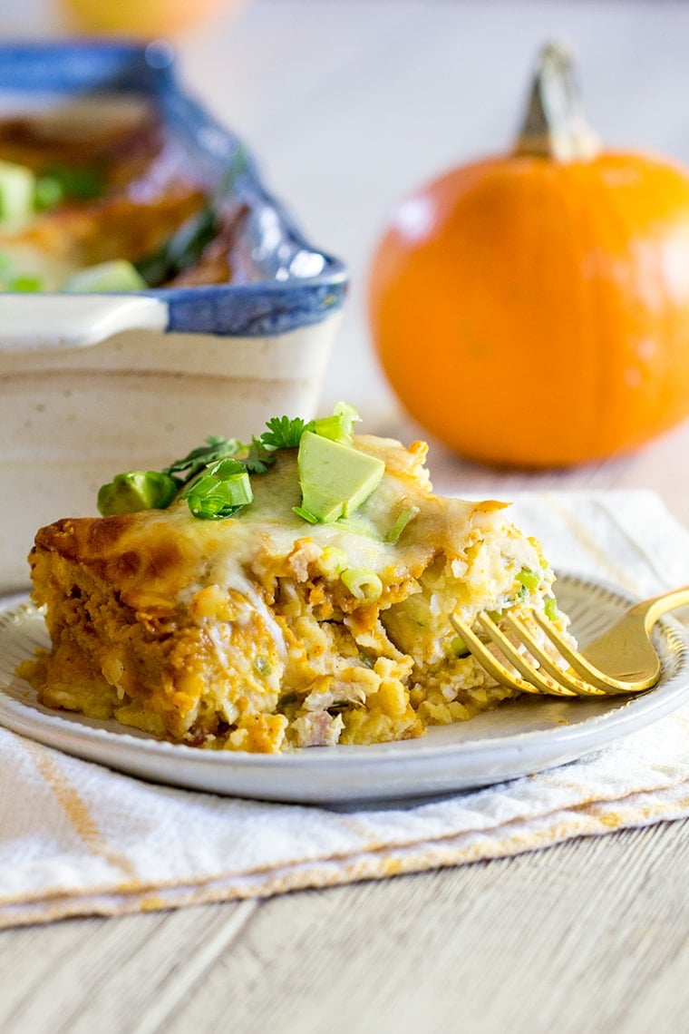 Pumpkin Chicken Enchiladas with a Pumpkin Enchilada Sauce make an easy and delicious family weeknight or weekend dinner perfect for fall. #enchiladas #pumpkin #chickenenchiladas #pumpkinenchiladas #enchiladasauce #glutenfree #glutenfreeenchiladas #pumpkinspice #dinner #weeknightdinner #easydinner #rotisseriechicken