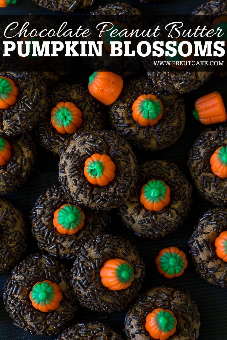 Chocolate Peanut Butter Pumpkin Blossoms are the perfect Halloween cookie. Classic peanut butter blossom cookies with a chocolate twist and a mallowcream pumpkin on top. #peanutbutter #cookie #halloween #halloweencookie #peanutbutterblossom #Pumpkincookie 