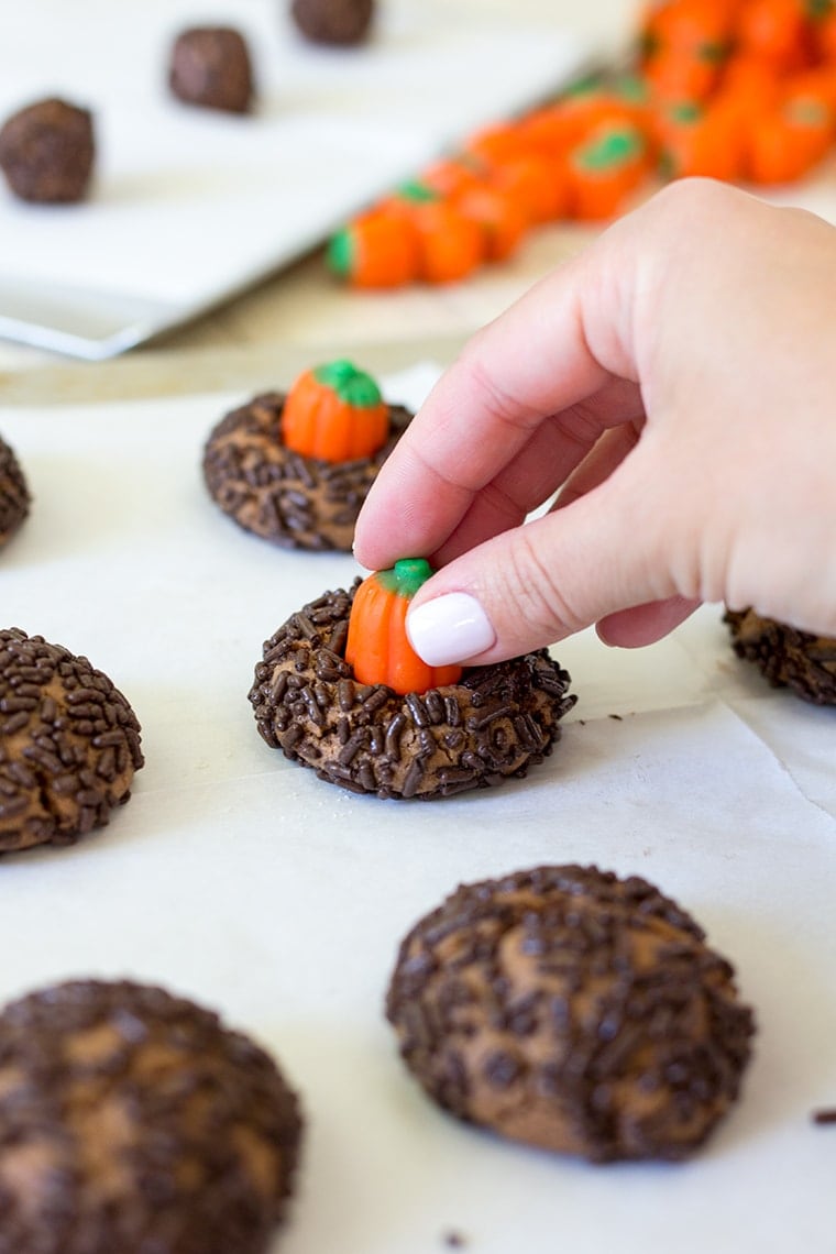 Chocolate Peanut Butter Pumpkin Blossoms are the perfect Halloween cookie. Classic peanut butter blossom cookies with a chocolate twist and a mallowcream pumpkin on top. #peanutbutter #cookie #halloween #halloweencookie #peanutbutterblossom #Pumpkincookie 