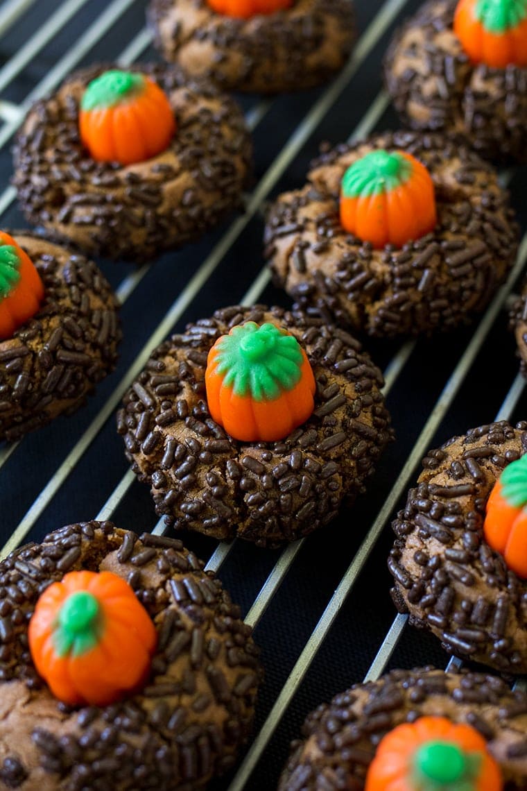 Chocolate Peanut Butter Pumpkin Blossoms are the perfect Halloween cookie. Classic peanut butter blossom cookies with a chocolate twist and a mallowcream pumpkin on top. #peanutbutter #cookie #halloween #halloweencookie #peanutbutterblossom #Pumpkincookie 