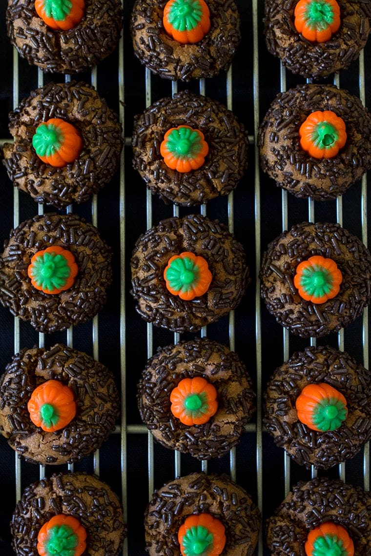 Chocolate Peanut Butter Pumpkin Blossoms are the perfect Halloween cookie. Classic peanut butter blossom cookies with a chocolate twist and a mallowcream pumpkin on top. #peanutbutter #cookie #halloween #halloweencookie #peanutbutterblossom #Pumpkincookie 