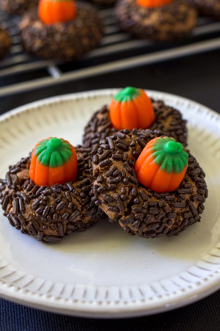 Chocolate Peanut Butter Pumpkin Blossoms are the perfect Halloween cookie. Classic peanut butter blossom cookies with a chocolate twist and a mallowcream pumpkin on top. #peanutbutter #cookie #halloween #halloweencookie #peanutbutterblossom #Pumpkincookie 